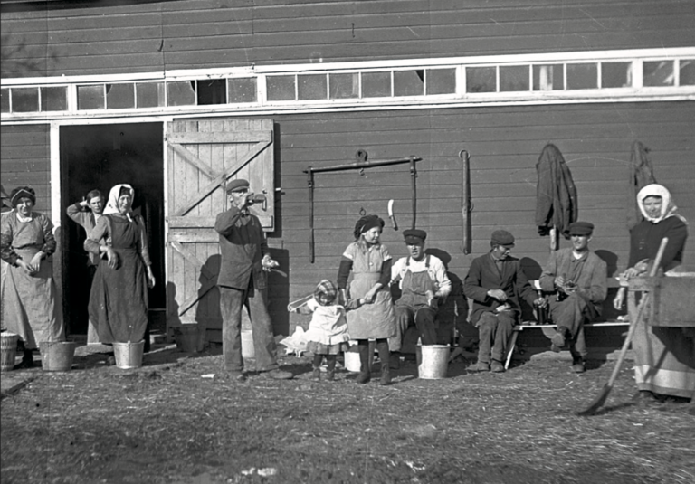 Featured image for “Alcohol & Abstinence: Mennonites in South Russia”